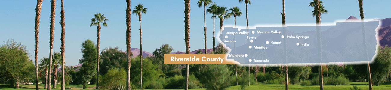 Palm trees in the valley and snow in the high